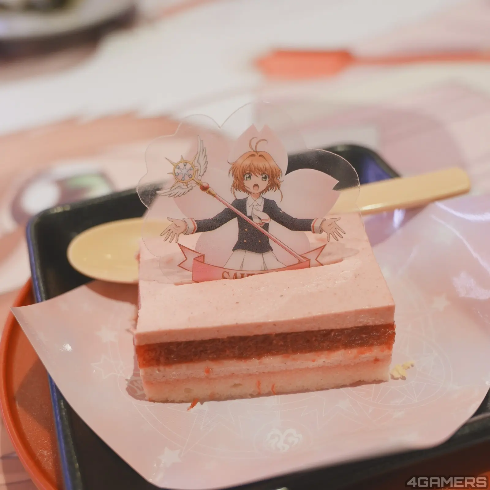 260323_sakura (15)