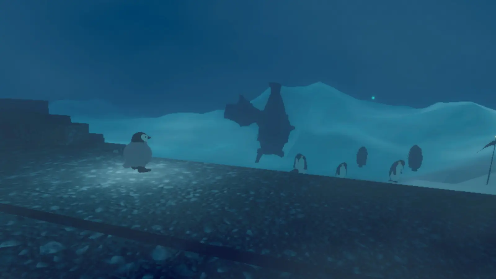 260422_penguin (9)