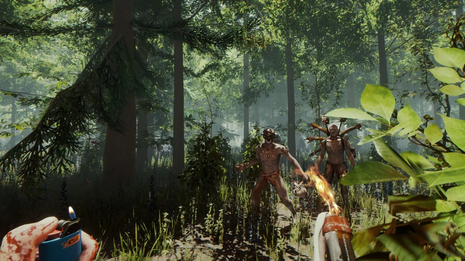 260609_forest (2)