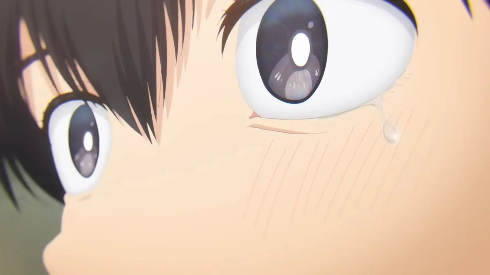 MAPPA _典僑閮艙 _押_喋____箄”隡APPA th Anniversary Lineup Reveal(38)