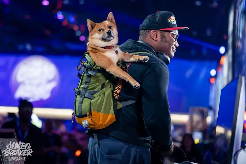 Tekken 8 Player Brings Dog to Combo Breaker Tournament-01