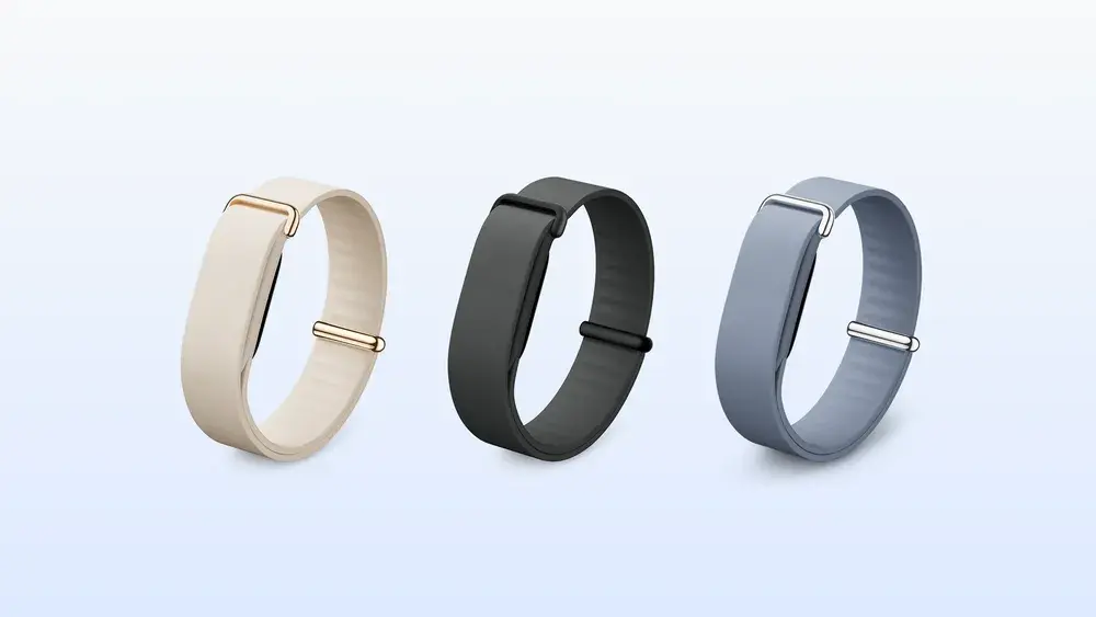 Band_Elevated.width-1000.format-webp