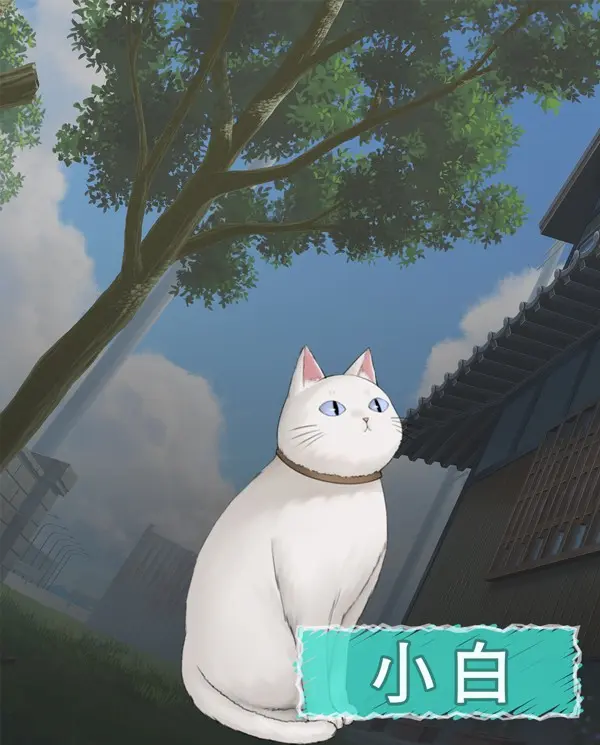 10_小白_steam介紹圖