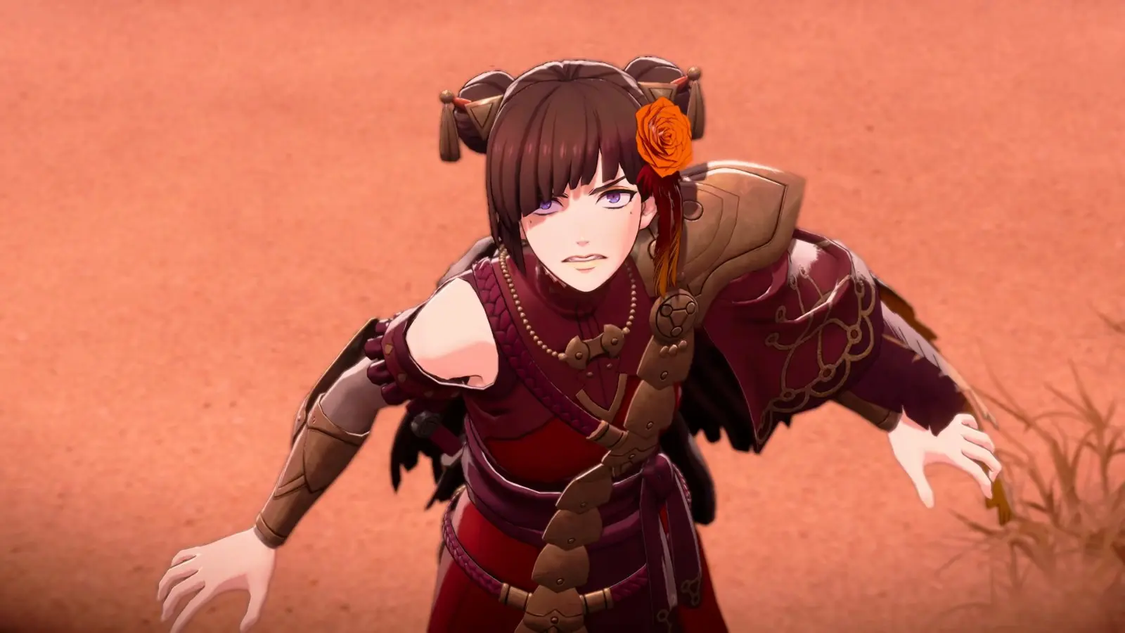 Nintendo Direct (52)
