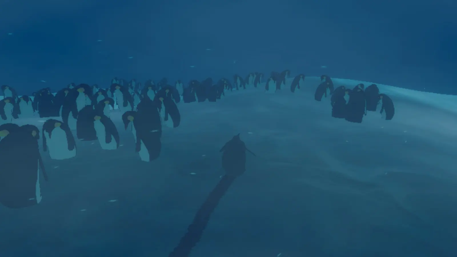 260422_penguin (7)