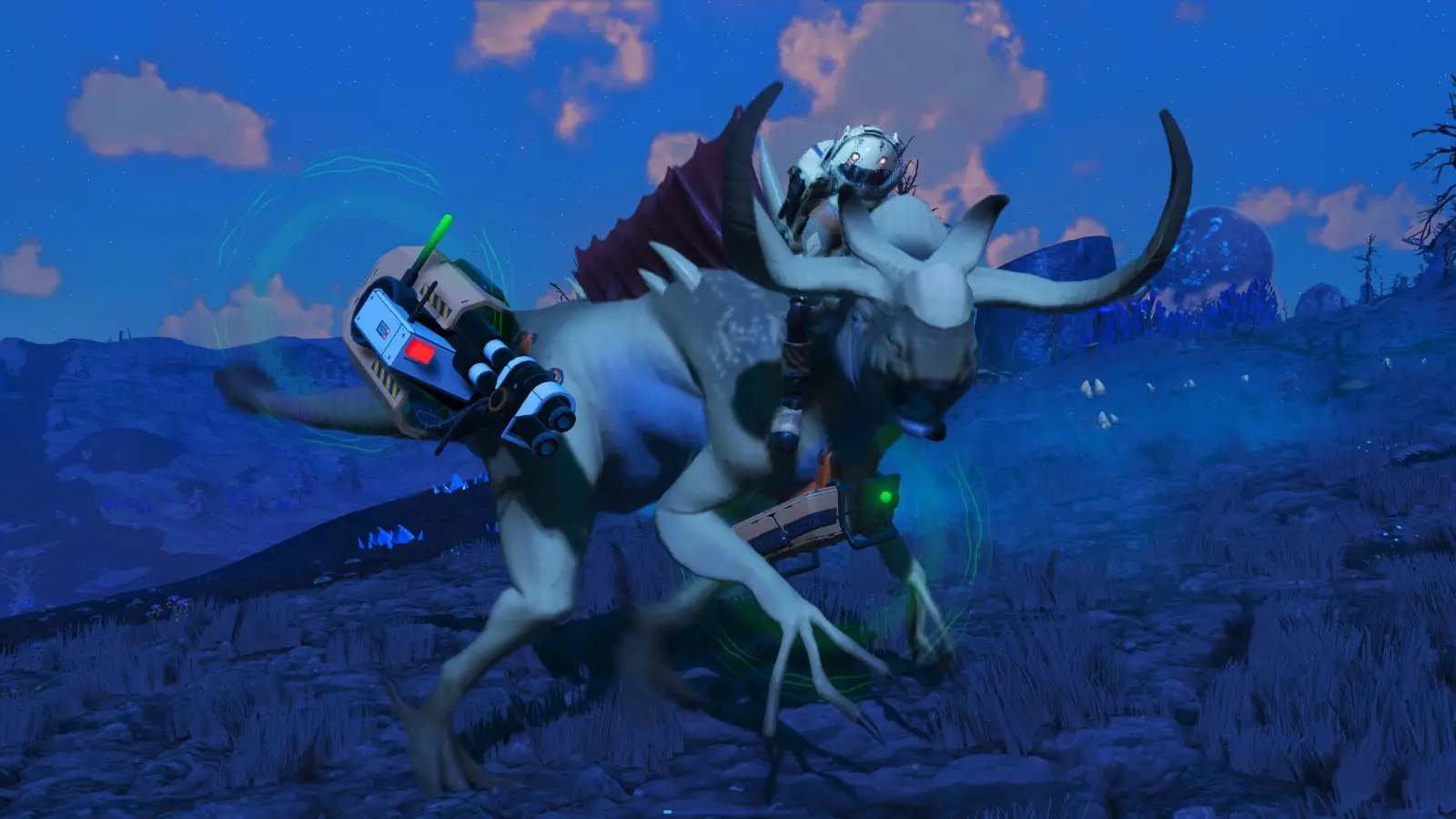 ridingonpets-7