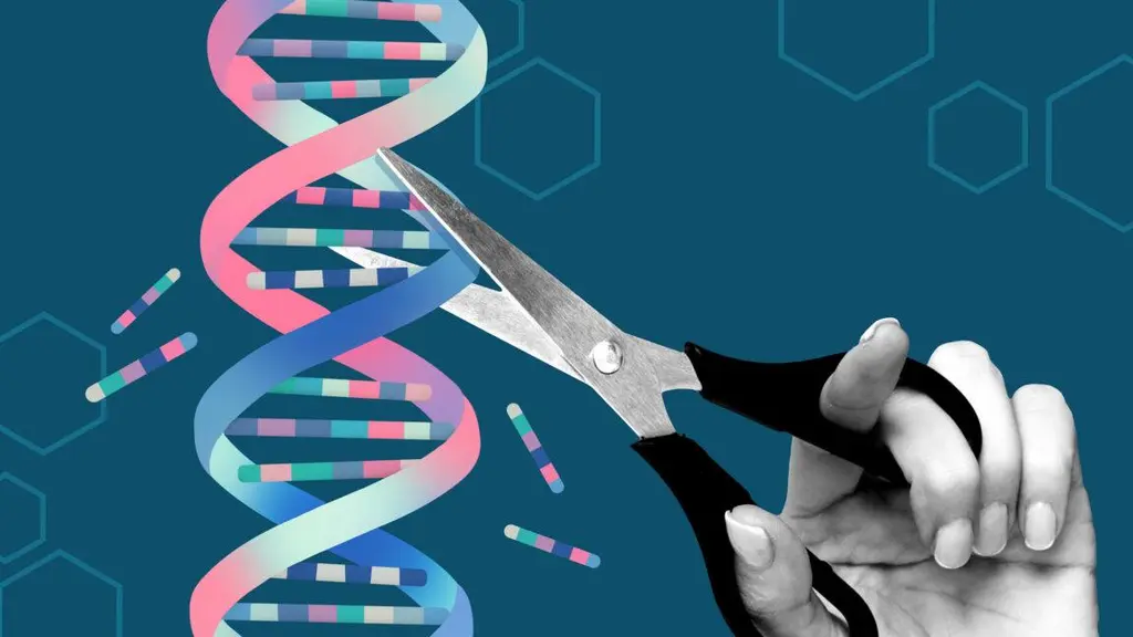 Team uses AlphaFold AI to redesign gene-editing proteins to make them safer