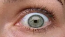 Man used massage gun on his tired eyeballs. It went as well as you'd expect.