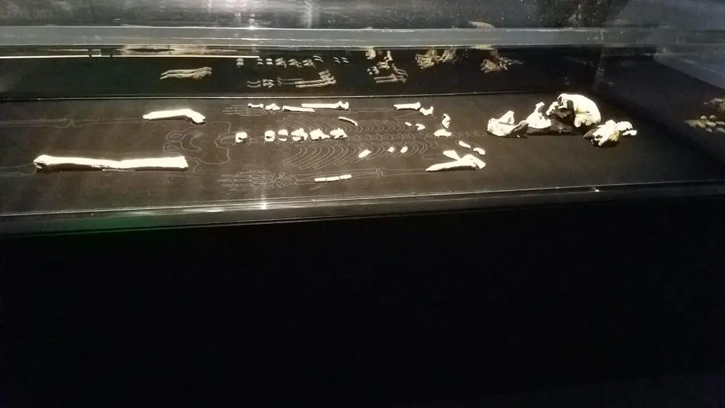 Every Homo naledi we know of is female, and the implications are fascinating