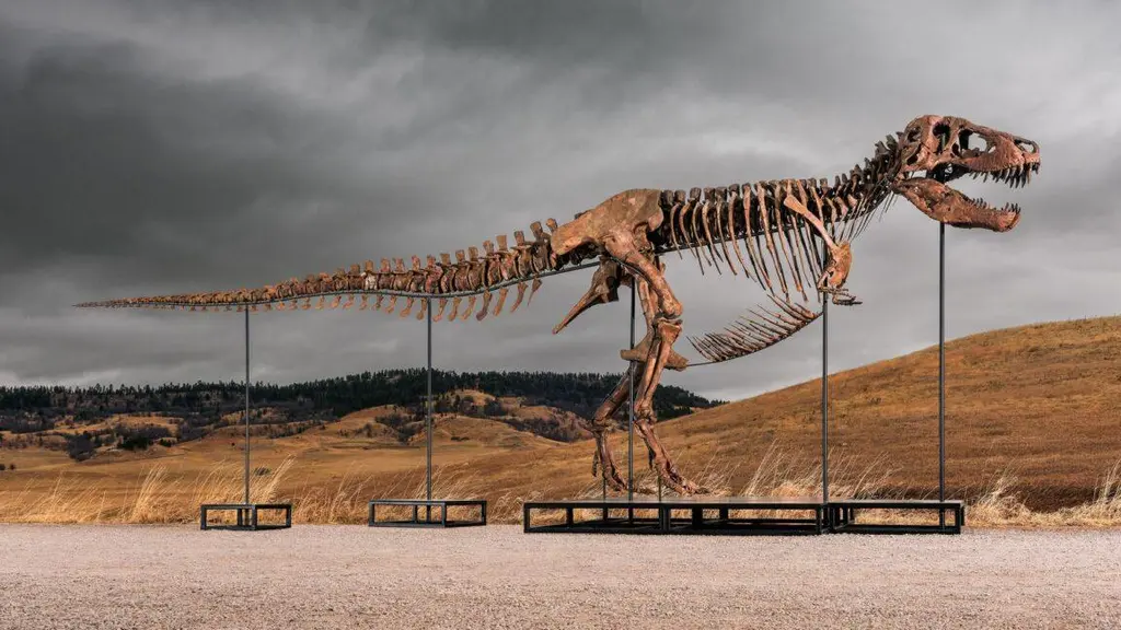 Sotheby's big T. rex auction raises concerns hype and wealth are upending…