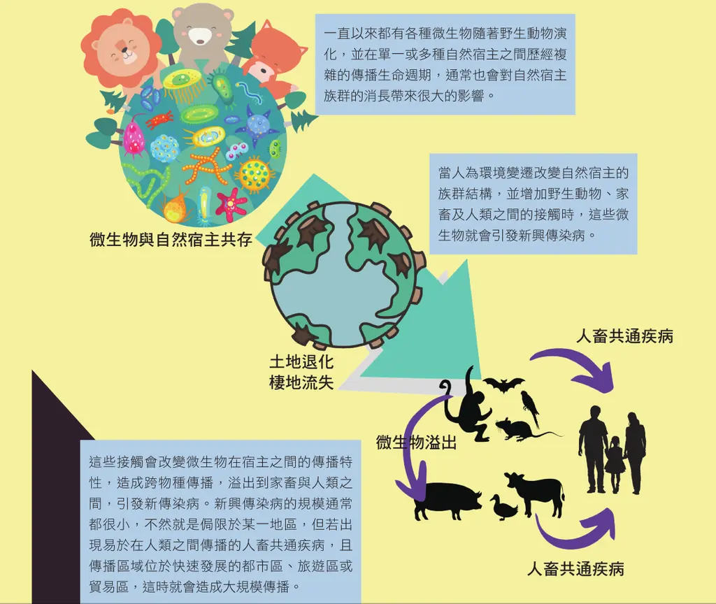 《自食惡果——環境及社會的亂象如何觸發疾病》