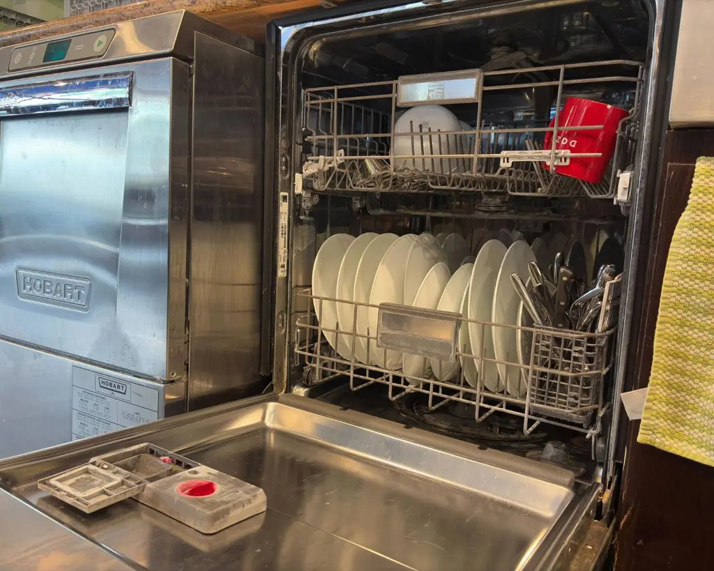 Is your dishwasher smelling… funky? Or maybe your plates are coming out with a…