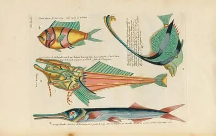 🌿📚 More than 64 million pages of biodiversity knowledge are freely available…