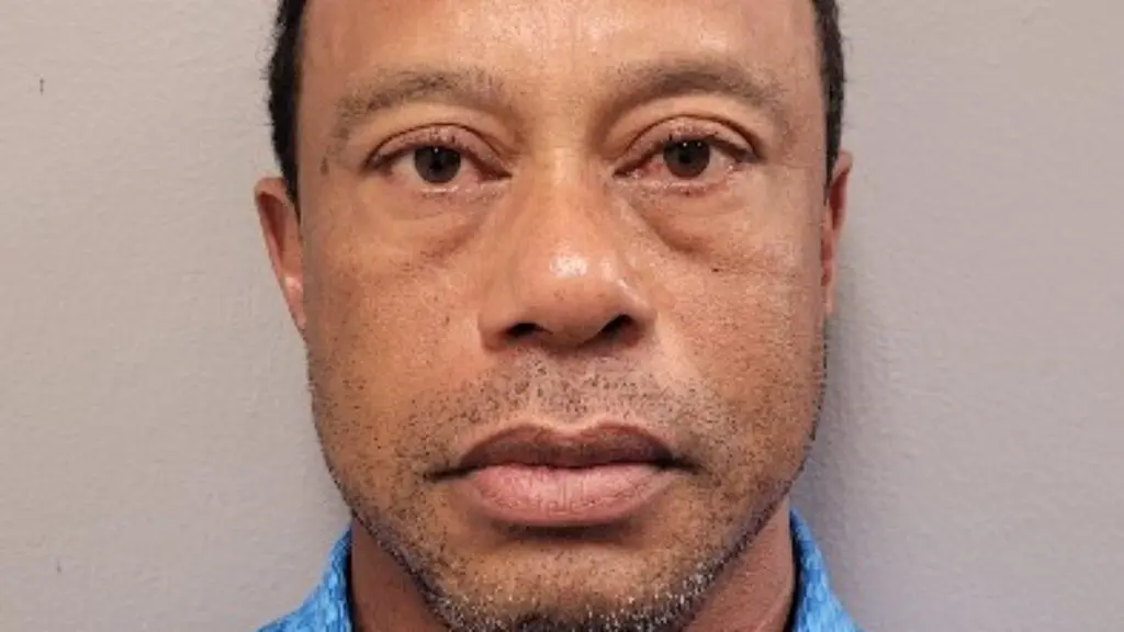 Sweaty, glassy-eyed Tiger Woods blames cell phone use for his car crash