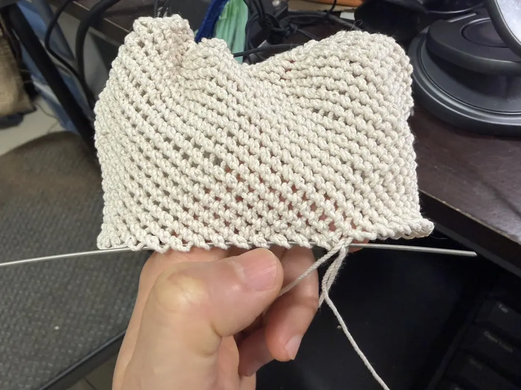 最近學了排灣族的羊角鉤織網袋，難得有看到販售這種比較冷門（？）的材料包 + 教學，覺得機不可失就買了，不然我也不可能為了學這個跑去台東。