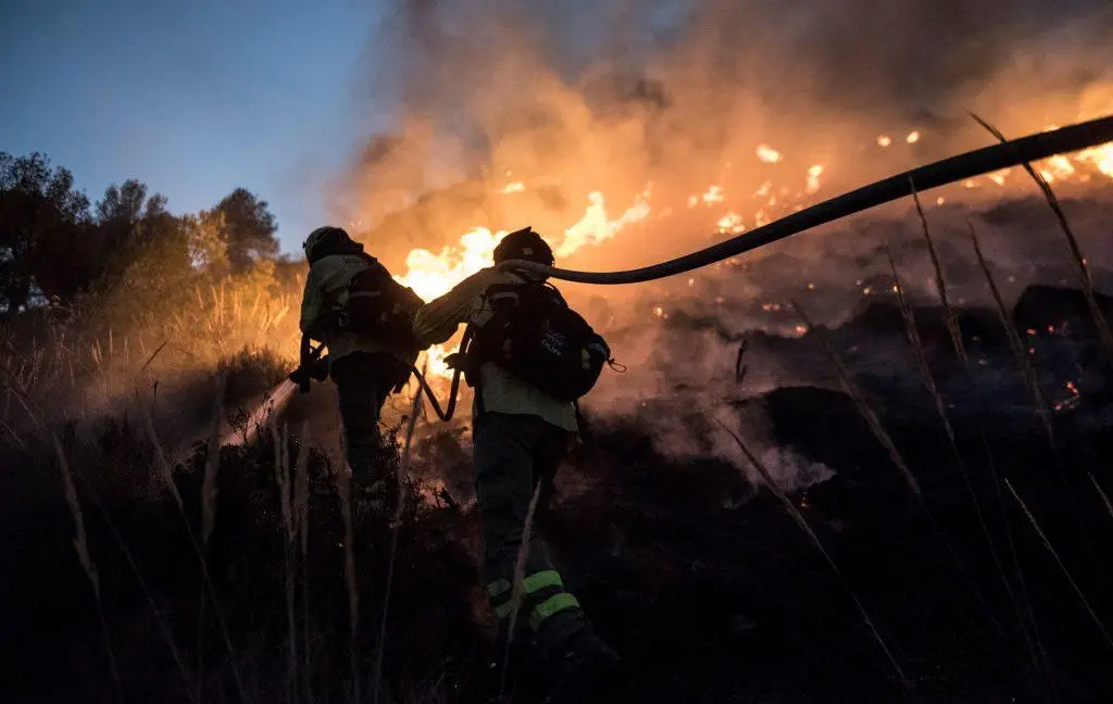 Forecasters predict wildfires, floods, severe heatwaves from incoming El Niño