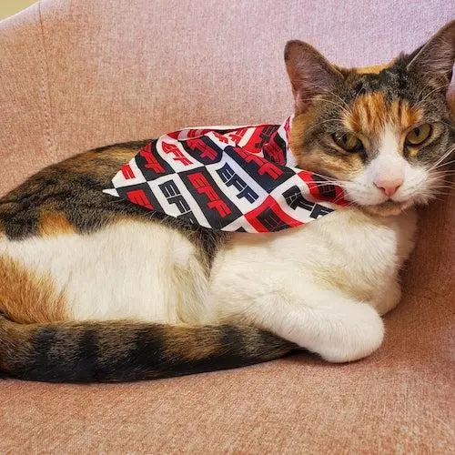 At EFF, we believe only one thing is cuter than our pets and that's our pets…