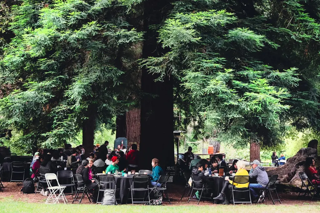 🧵1/2 DWeb Camp: Root Systems is almost here! 🏕️