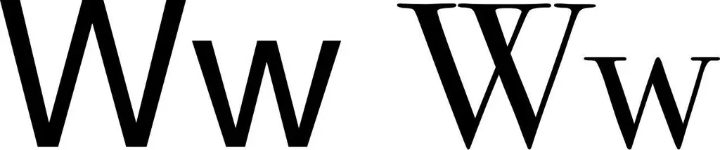 A Necessary History of the Oddest Letter: W