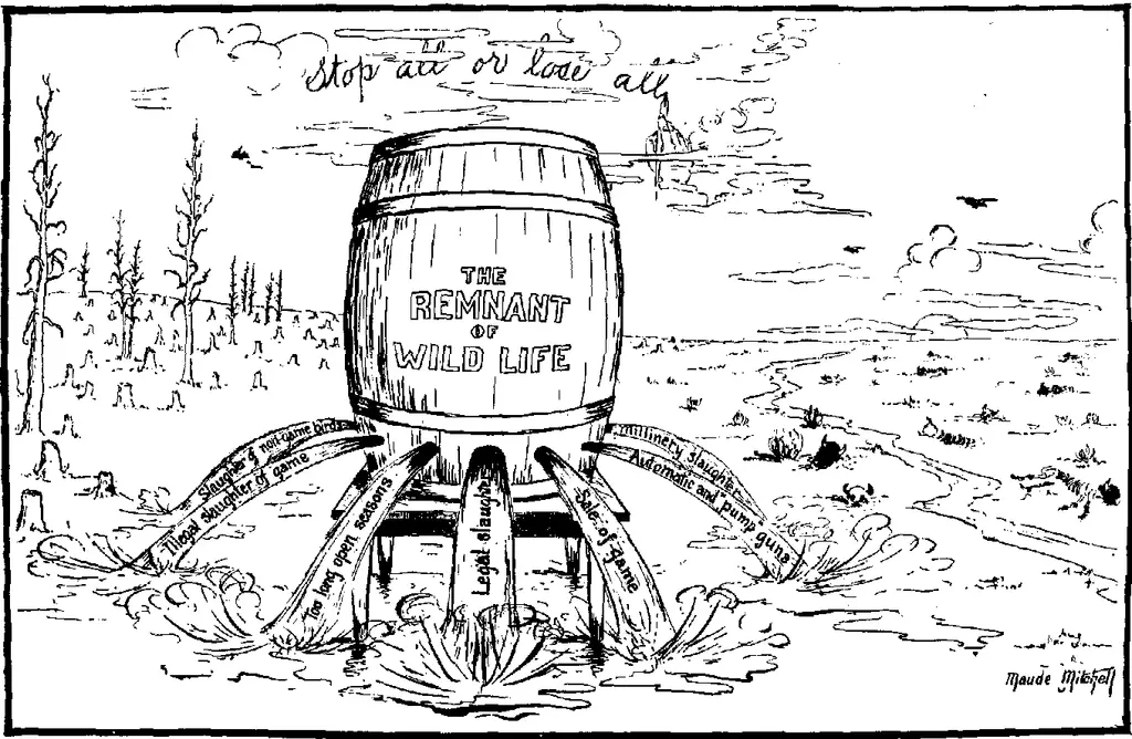 Returning to Steinbeck’s Sea of Cortez