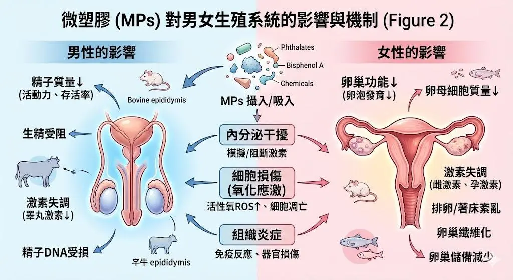 【我不是袂生，我只是塑膠。袂生牽拖塑膠？？？】