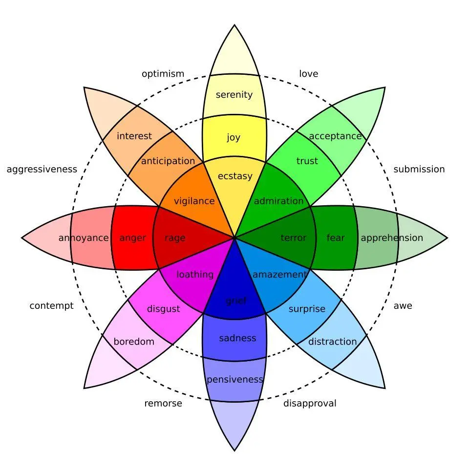 Can empathy levels predict whether someone goes into the physical sciences?