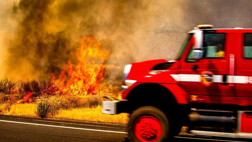 Study says roads bring more fire to forests; USDA wants more roads to fight…
