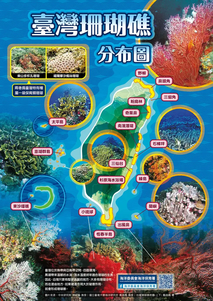 【世界珊瑚礁日快樂！】
