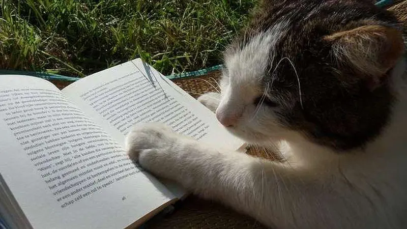 50 Great Classic Novels Under 200 Pages