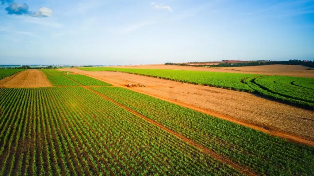 Everyone pays the price as patent holders on seeds stifle innovation
