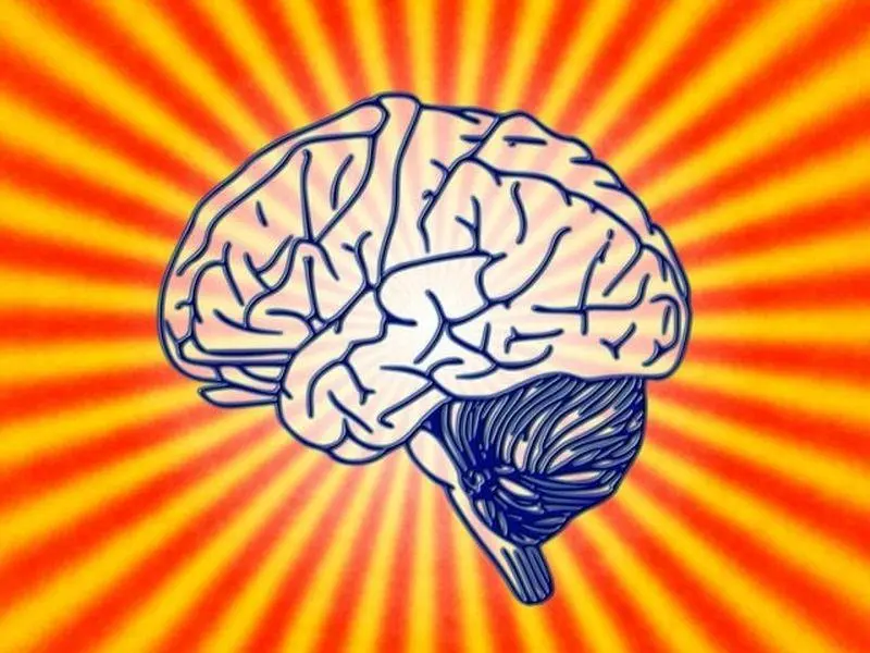 How accurate are our memories? | Lisa Genova