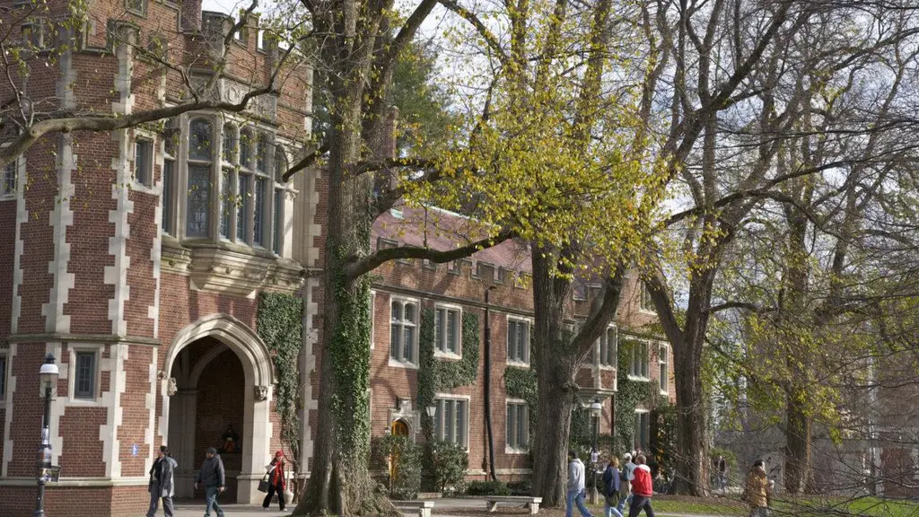 AI-driven cheating "widespread" even at elite schools like Princeton