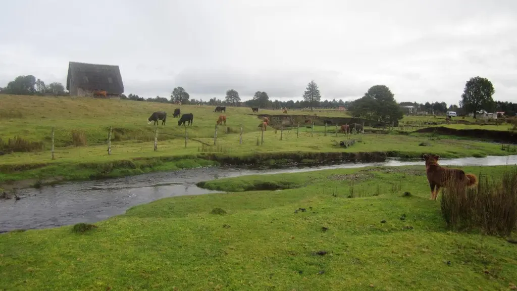 An early Indigenous site may not be early, but it doesn't really matter
