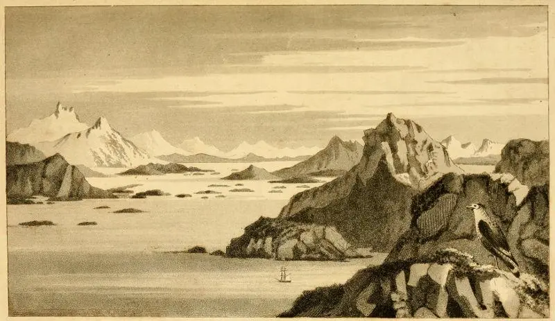 Andrea Wulf Considers the Rare Humanity of an Eighteenth-Century Naturalist
