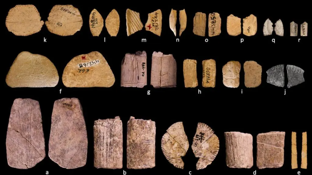 Ice Age dice show early Native Americans may have understood probability