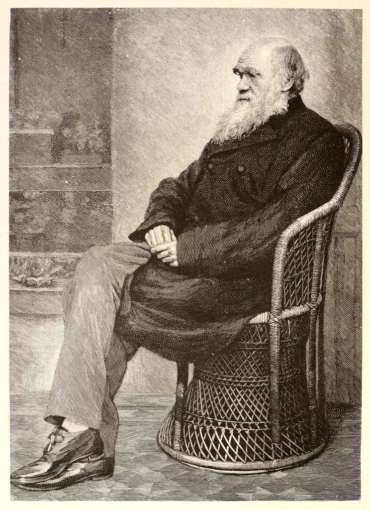 Charles Darwin Drawings and Doodles