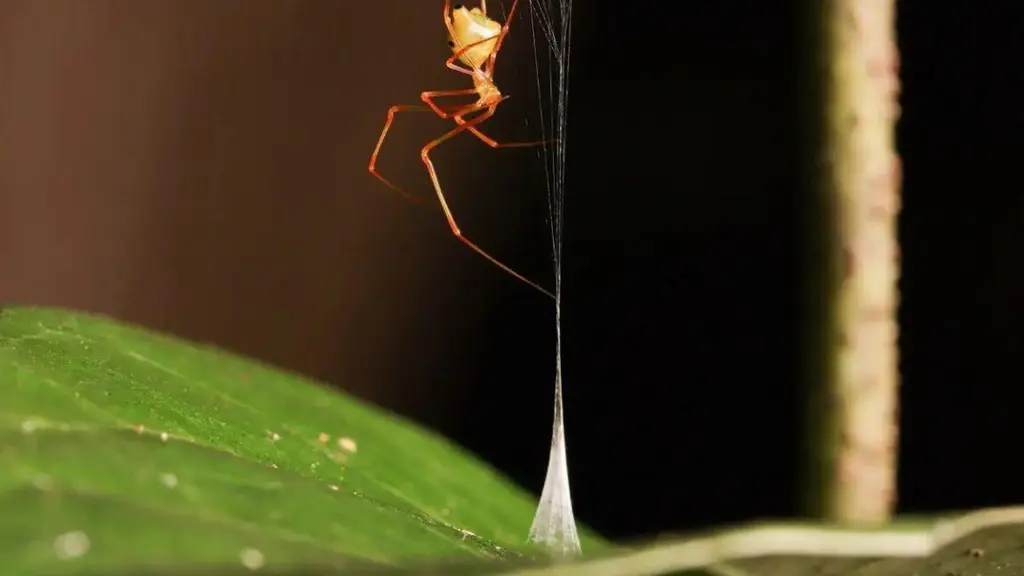 June research roundup: 6 cool science stories we almost missed