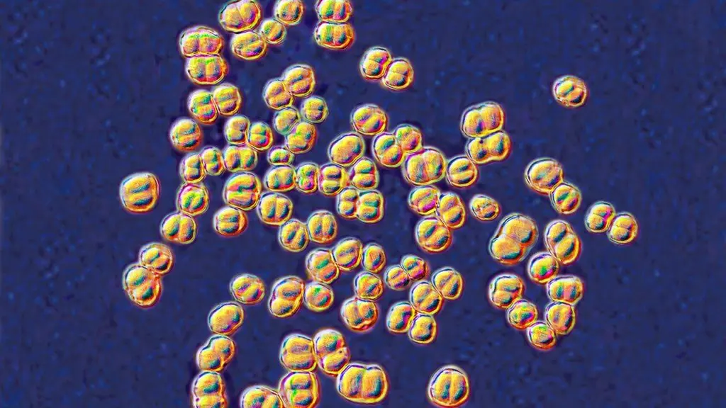 College lab class ends with 32 people on antibiotics for deadly germ exposure