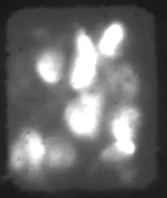 Preview image for Field-emission display - Wikipedia