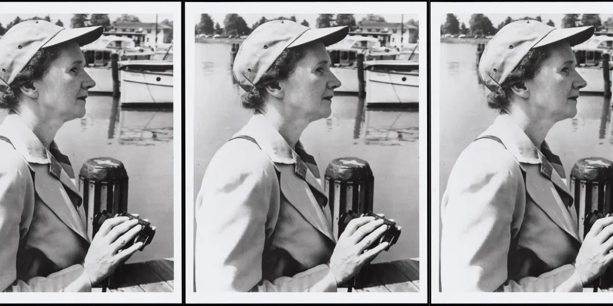 Preview image for Silent Springs, Windswept Seas: On the Environmental Vision of Rachel Carson