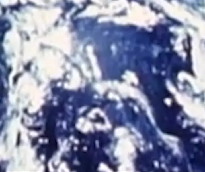 Preview image for The Whiteness of Magnesium : Jackson Stern : Free Download, Borrow, and Streaming : Internet Archive