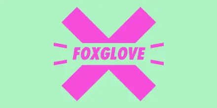 Preview image for Foxglove, Human Rights Watch and 60 other organisations write open letter to Government condemning Home Office border tool aimed at asylum-seeking children