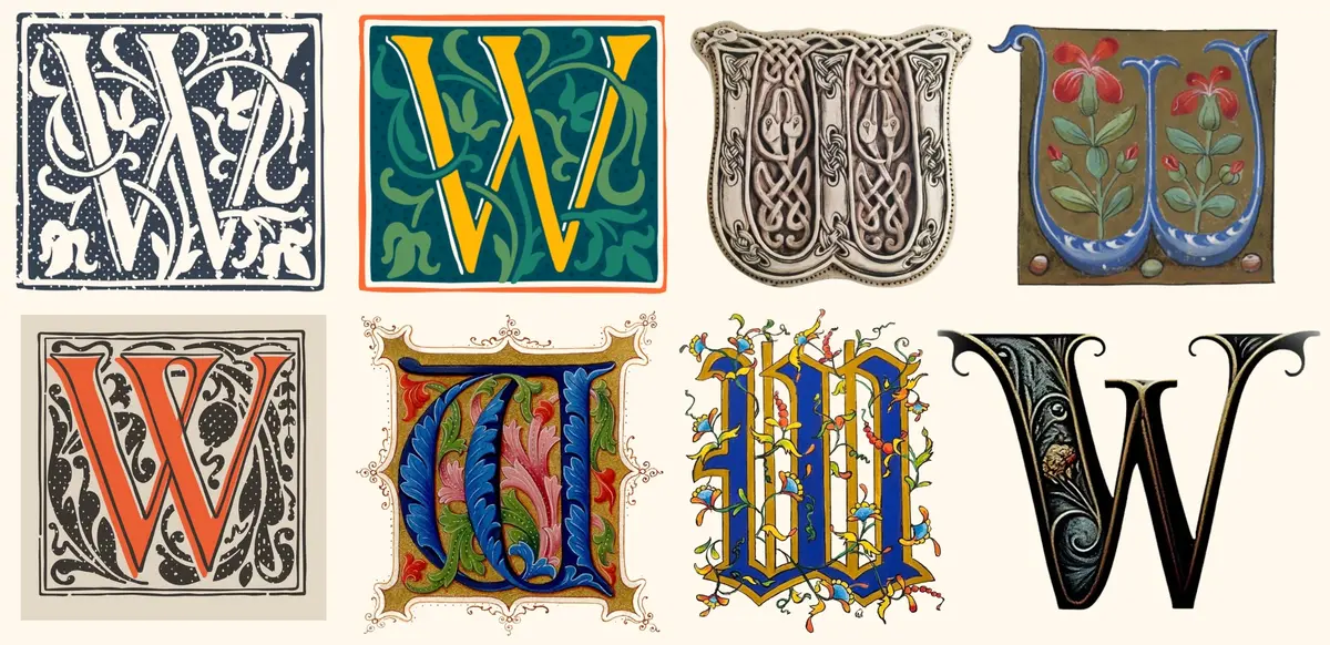 Preview image for A Necessary History of the Oddest Letter: W