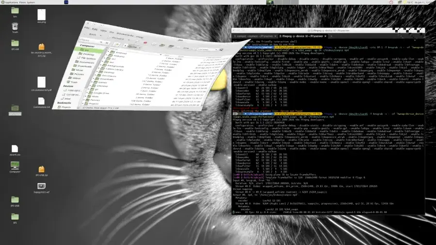 Preview image for Vibe Coded X11 Server Written In Rust Adds Xinerama, FreeBSD Support &amp; Other Features
