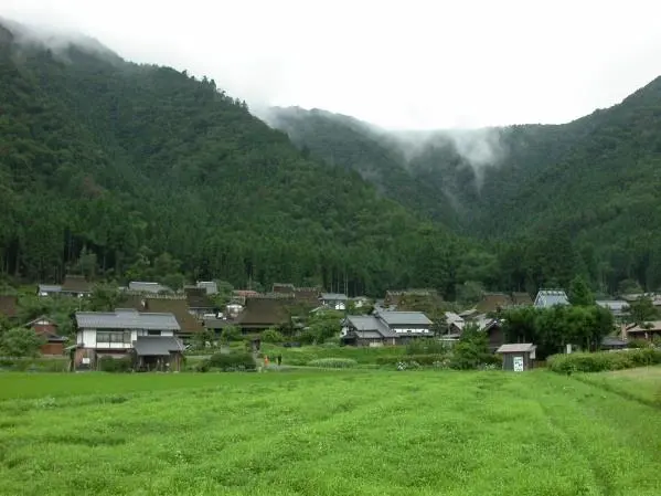 Preview image for 其實，不應該讓里山離我們這麼遠